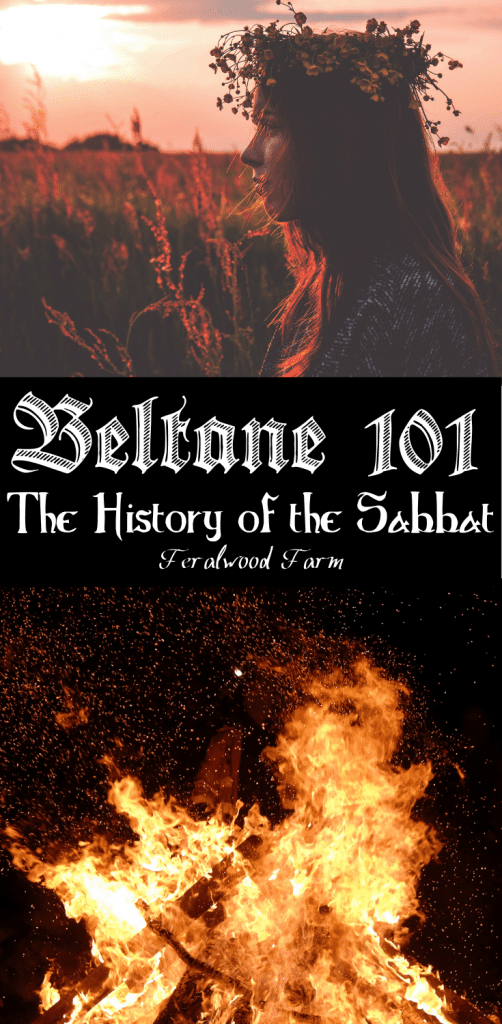 A "Pin It" graphic for Beltane 101: The History of the Sabbat. The top section features a woman wearing a floral crown, standing in a sunlit field during golden hour. The title "Beltane 101: The History of the Sabbat" is written in bold black text in the center. The bottom section shows a vibrant Beltane bonfire, representing the fiery energy and celebration of the sabbat.