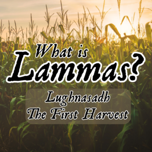 What is Lammas? Lughasadh, the First Harvest