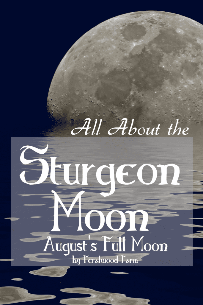 Learn about the Sturgeon Moon, August's Full Moon. Learn about the history, alternative names, correspondences, and how to utilize its energy in your magickal workings.