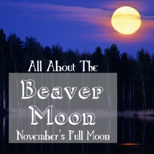 Beaver Moon