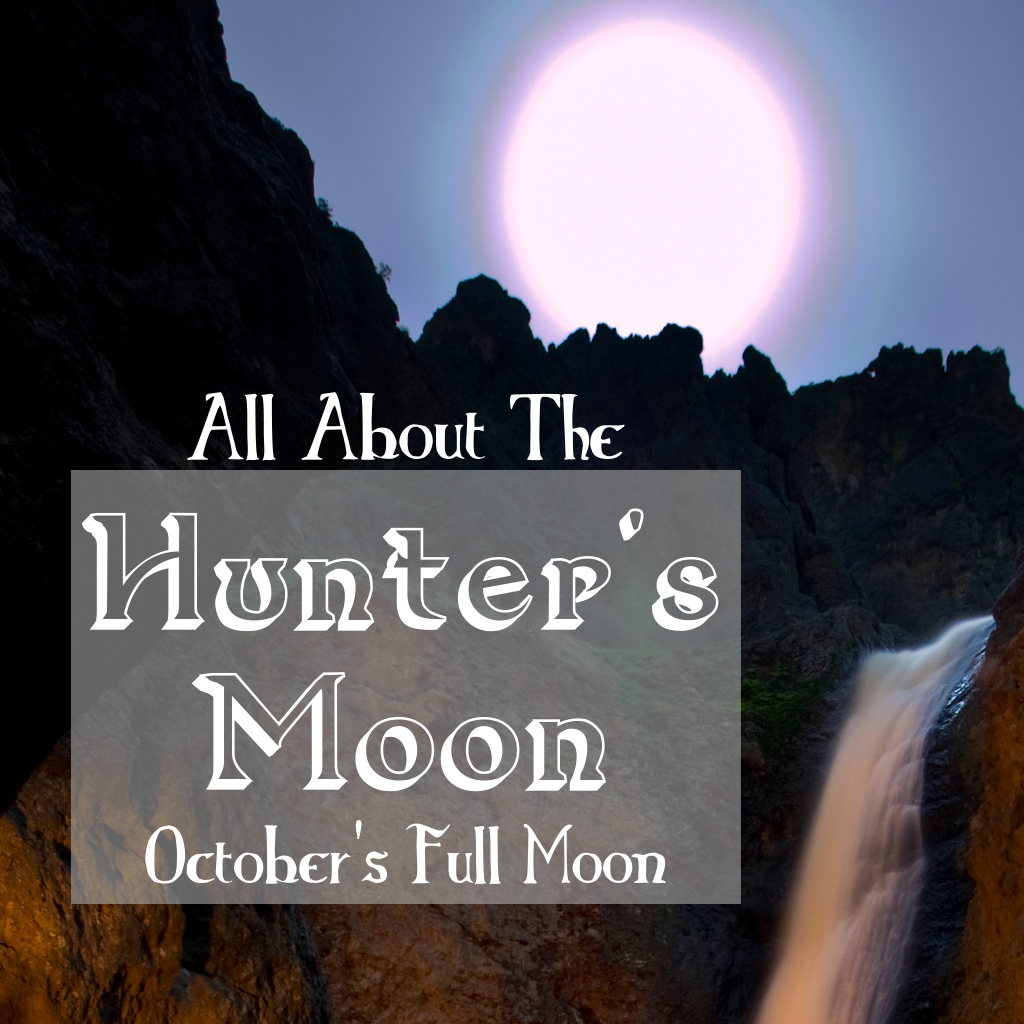 n about the Hunter's Moon, October’s Full Moon. Learn about the history, alternative names, correspondences, and how to utilize its energy in your magickal workings.