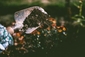 a shovel filled with dirt, with a garden in the background