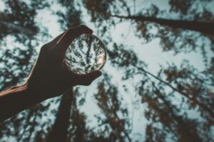 someone holding a clear orb and viewing a forest through it, with the forest also shown in the background