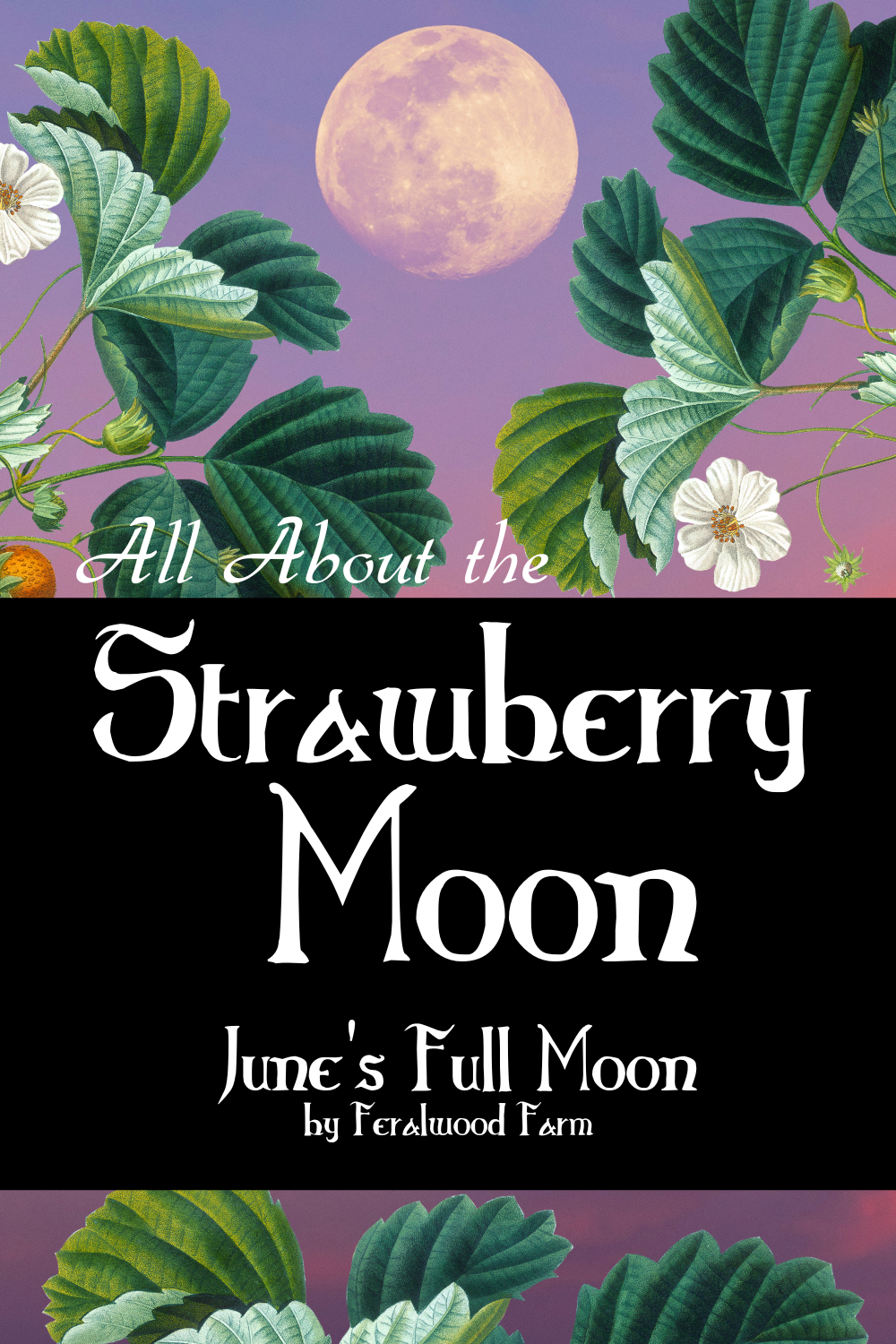 All About The Strawberry Moon - June's Full Moon - Feralwood Witch